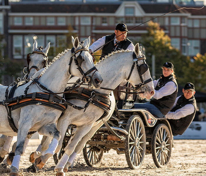 Horse carriage riders