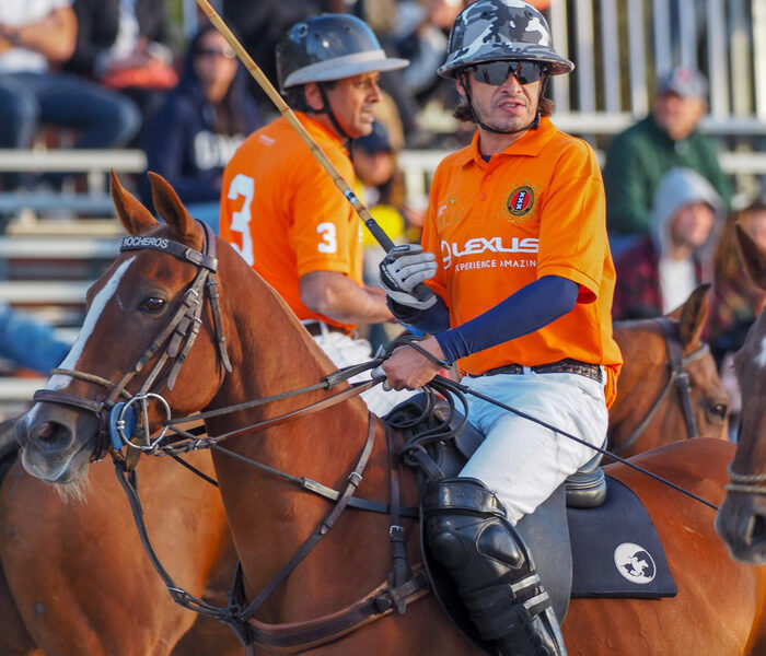 Polo Players on nhorses in orange shirts
