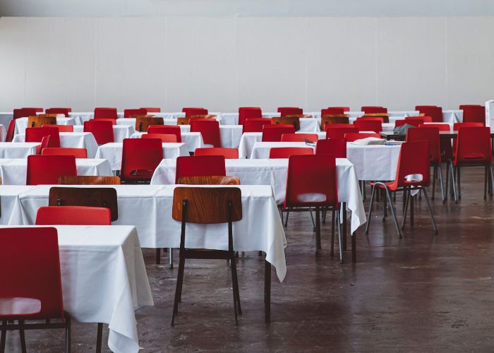 Goudfazant - Interior